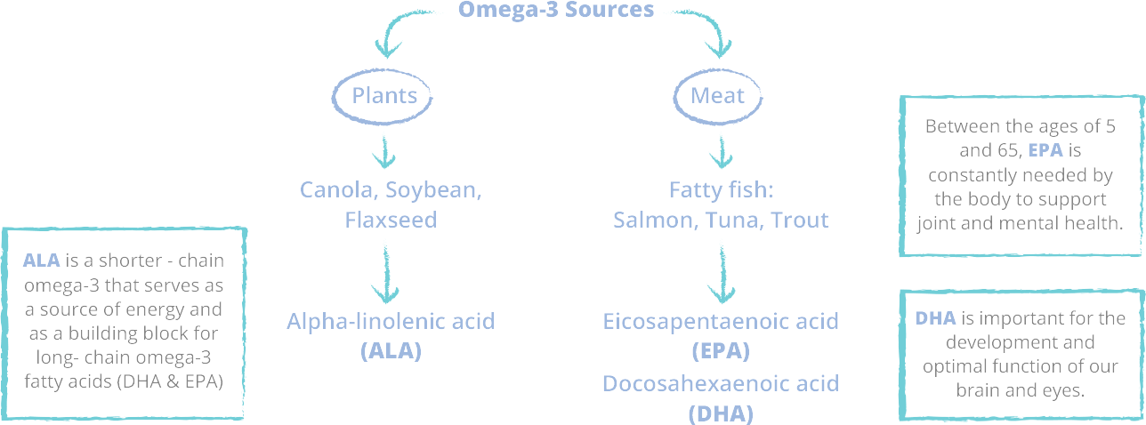 Omega 3 Singapore